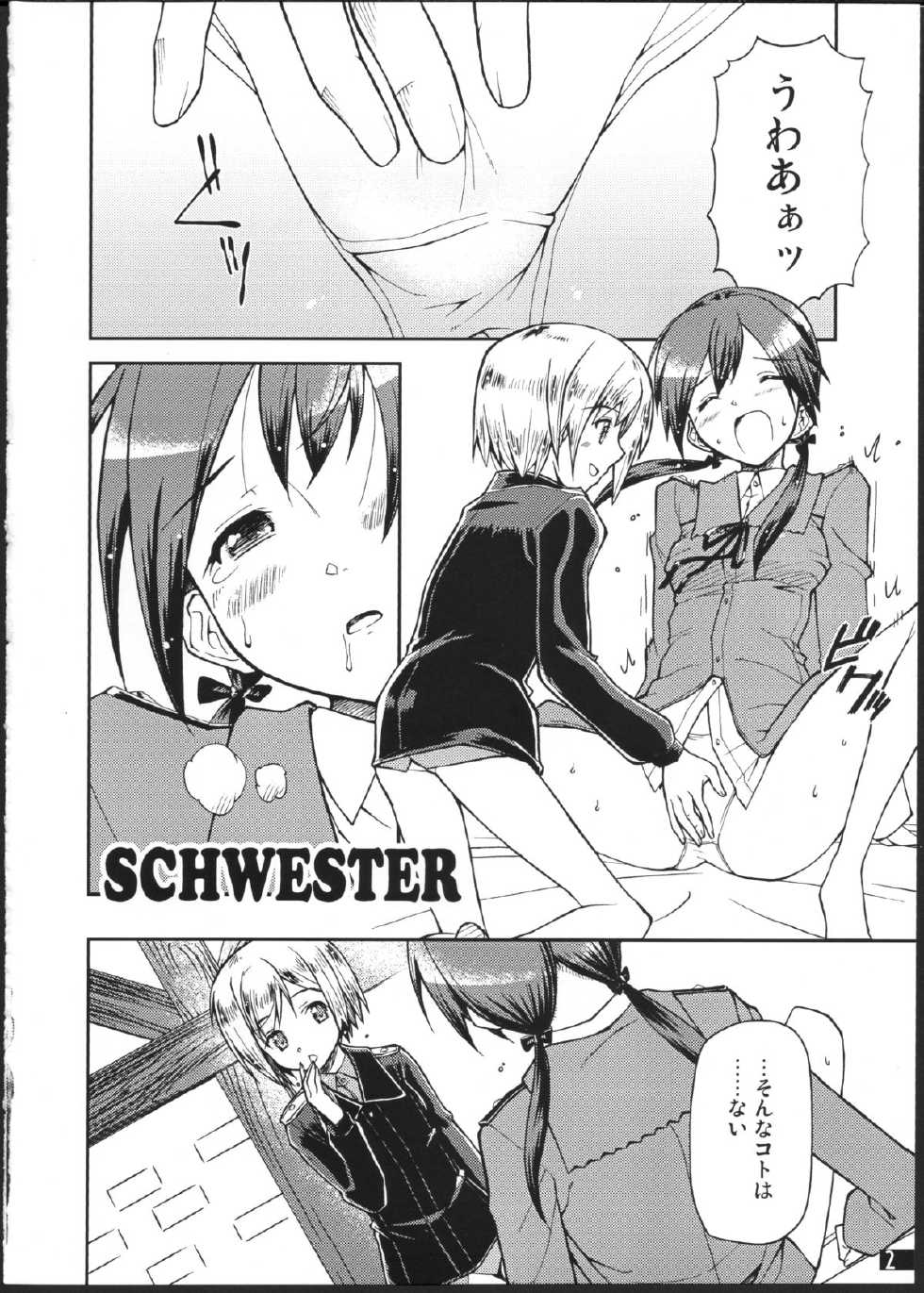 (C75) [Hetalearts (BLACKHEART)] SCHWESTER (Strike Witches) - Page 3