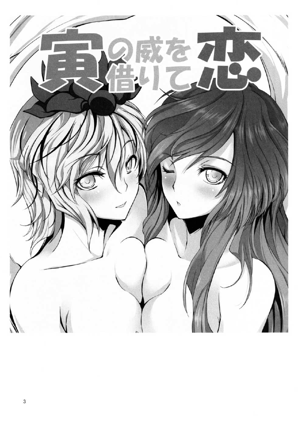 (C77) [KOTI (A Toshi)] Tora no I wo Karite Koi (Touhou Project) [Digital] - Page 3