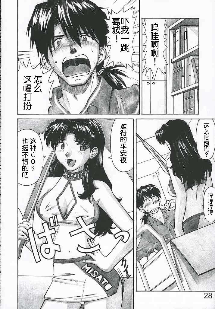 (C69) [TENGU NO TSUZURA (Kuro Tengu)] MERRY BOX (Neon Genesis Evangelion) [Chinese] [wwy个人汉化] - Page 28