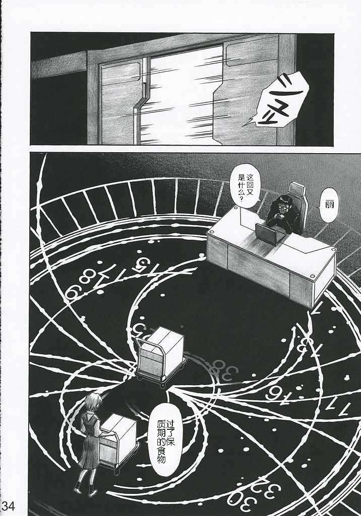 (C69) [TENGU NO TSUZURA (Kuro Tengu)] MERRY BOX (Neon Genesis Evangelion) [Chinese] [wwy个人汉化] - Page 34