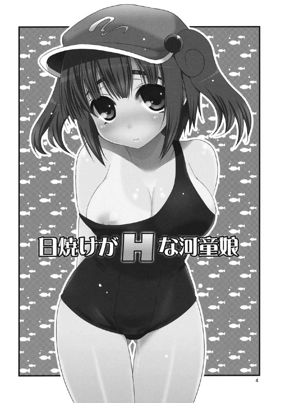 (C80) [Takadoya-tei (Takadoya Akira)] Hiyake ga H na Kappa Musume (Touhou Project) [English] [desudesu] - Page 3