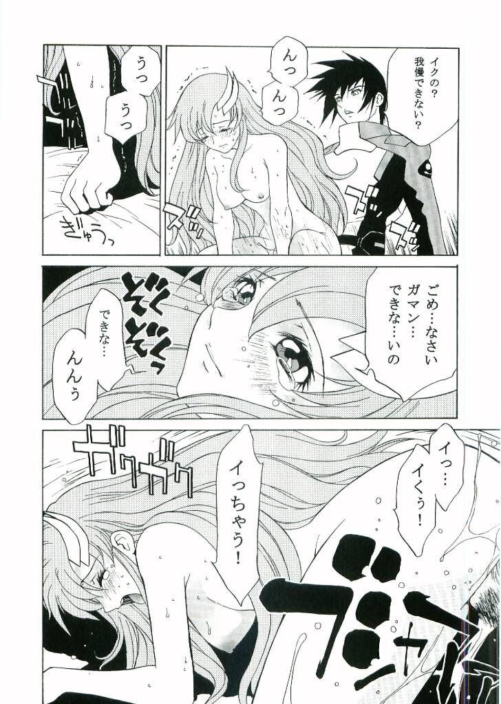 [Dragon Goya (Nagase Rurio)] DAIKICHIDOU DOREITAISITU (Gundam SEED) - Page 13
