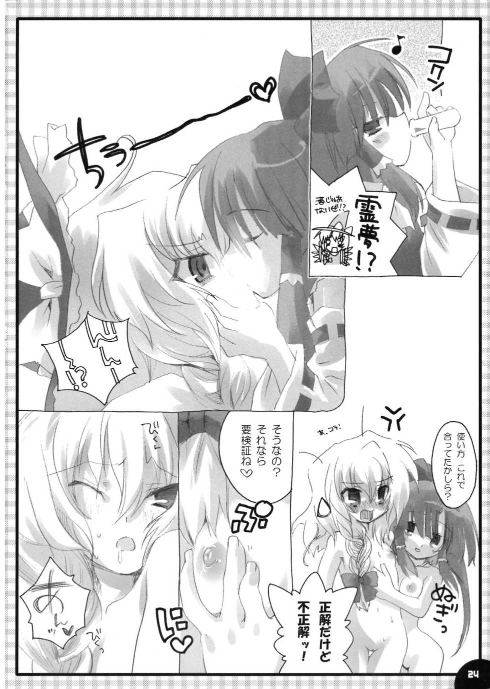 (C70) [Tiger 79 (Kagurazaka Nagu)] Higashi no Sora ga Shiramu Toki (Touhou Project) - Page 22