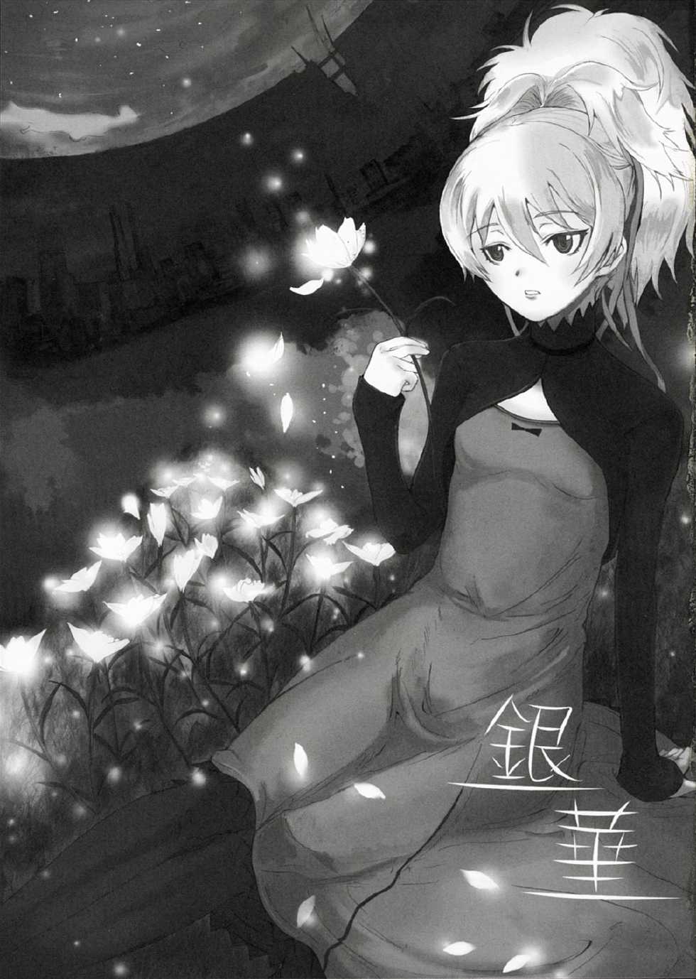 (C72) [PaperCrown (Nagata Tsubasa)] Ginka (DARKER THAN BLACK -Kuro no Keiyakusha-) - Page 2