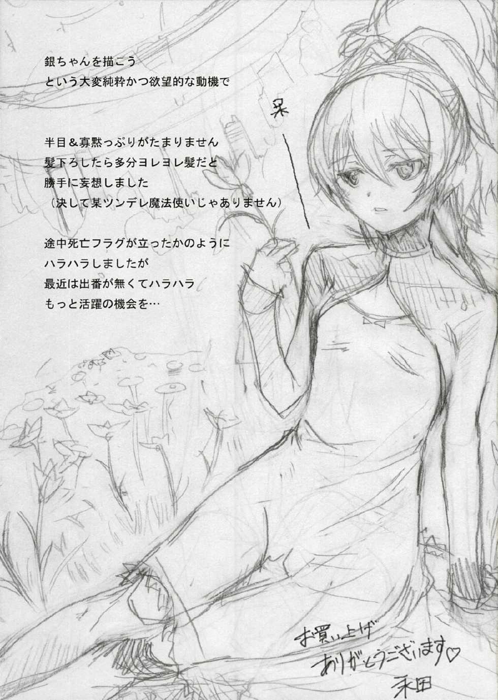 (C72) [PaperCrown (Nagata Tsubasa)] Ginka (DARKER THAN BLACK -Kuro no Keiyakusha-) - Page 24