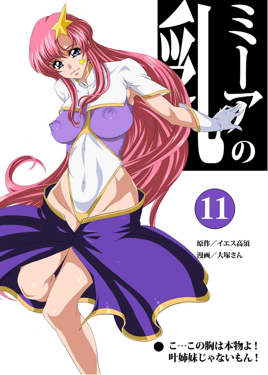 [Muramura shi Monmon chou] SEED na Irasuto (Gundam Seed Destiny) - Page 12