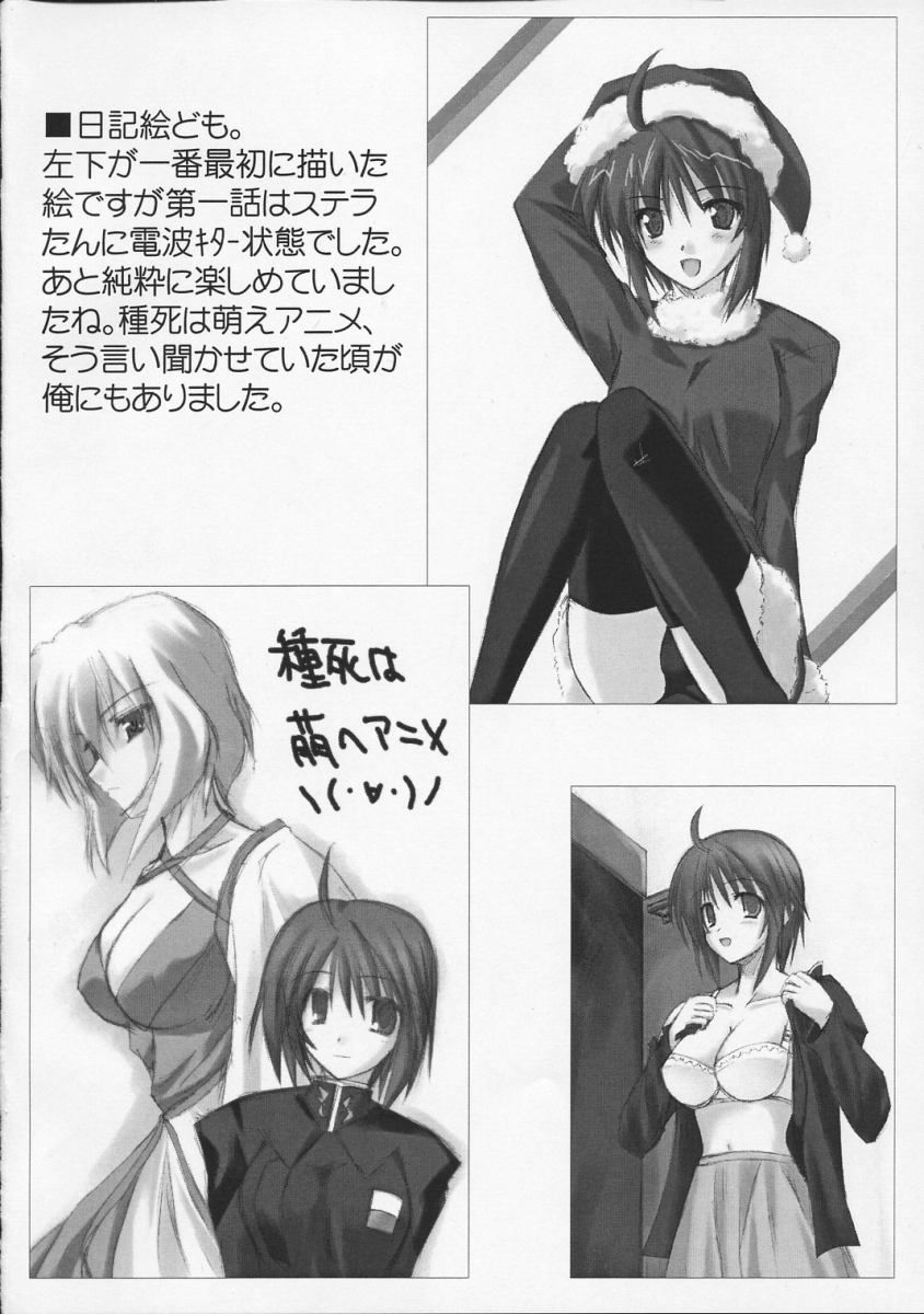 (CSP4) [Raiden Yashiki (Yamaura Tamaki)] Lunamaria Shugi | Principle of Lunamaria (Gundam SEED DESTINY) - Page 19