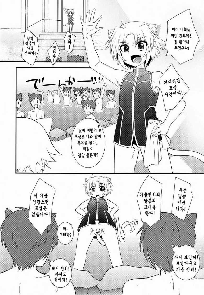 [Fuwawa (Oki no Matsushiro)] Gaul-denka no Senshou go Houbi (Dog Days) (korean) - Page 8