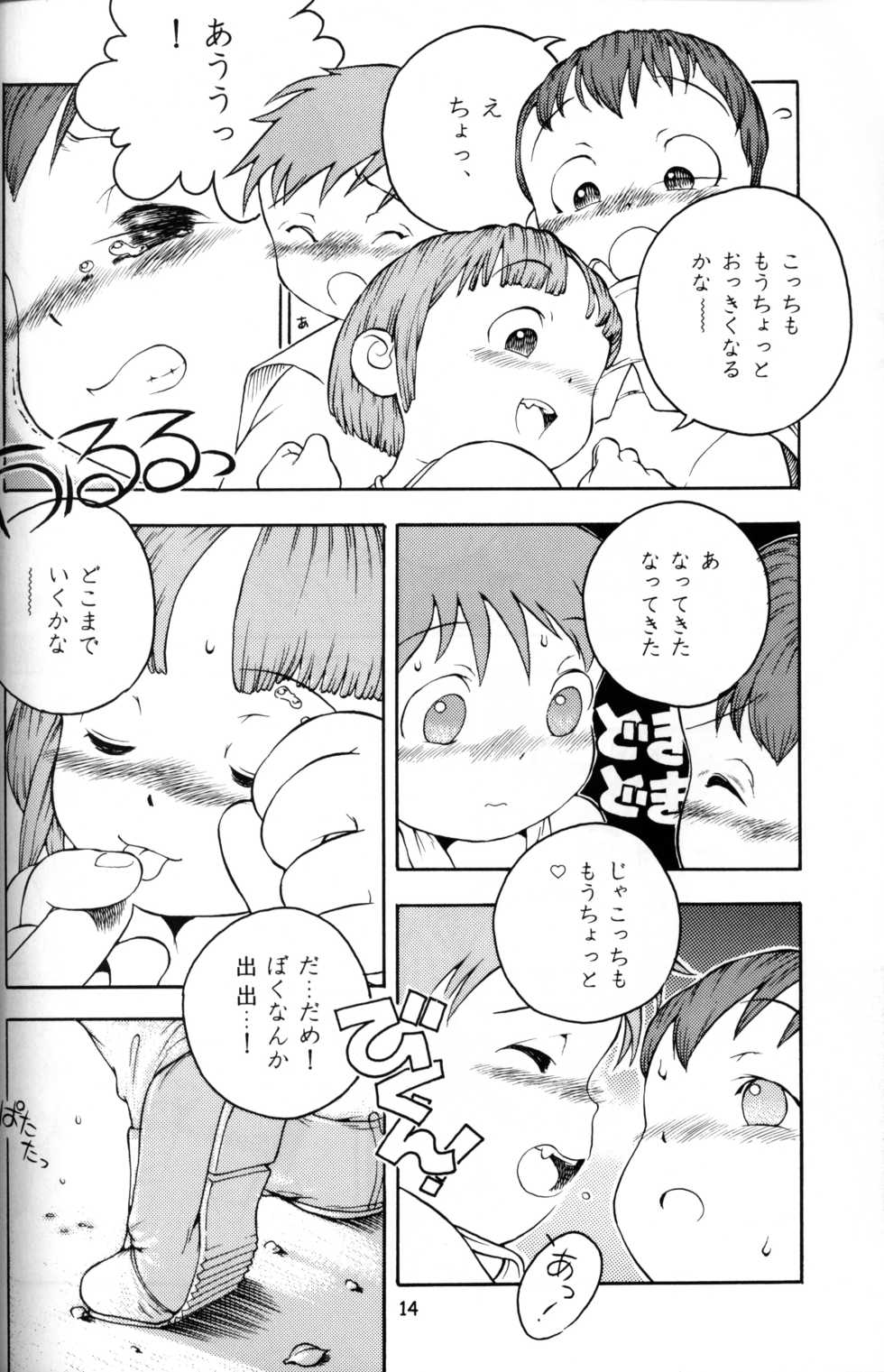 (Shotaket 5) [Mukei Bunka Zaidan (Susukino Nao, Hosokawa Fuziemon)] MP - Page 13