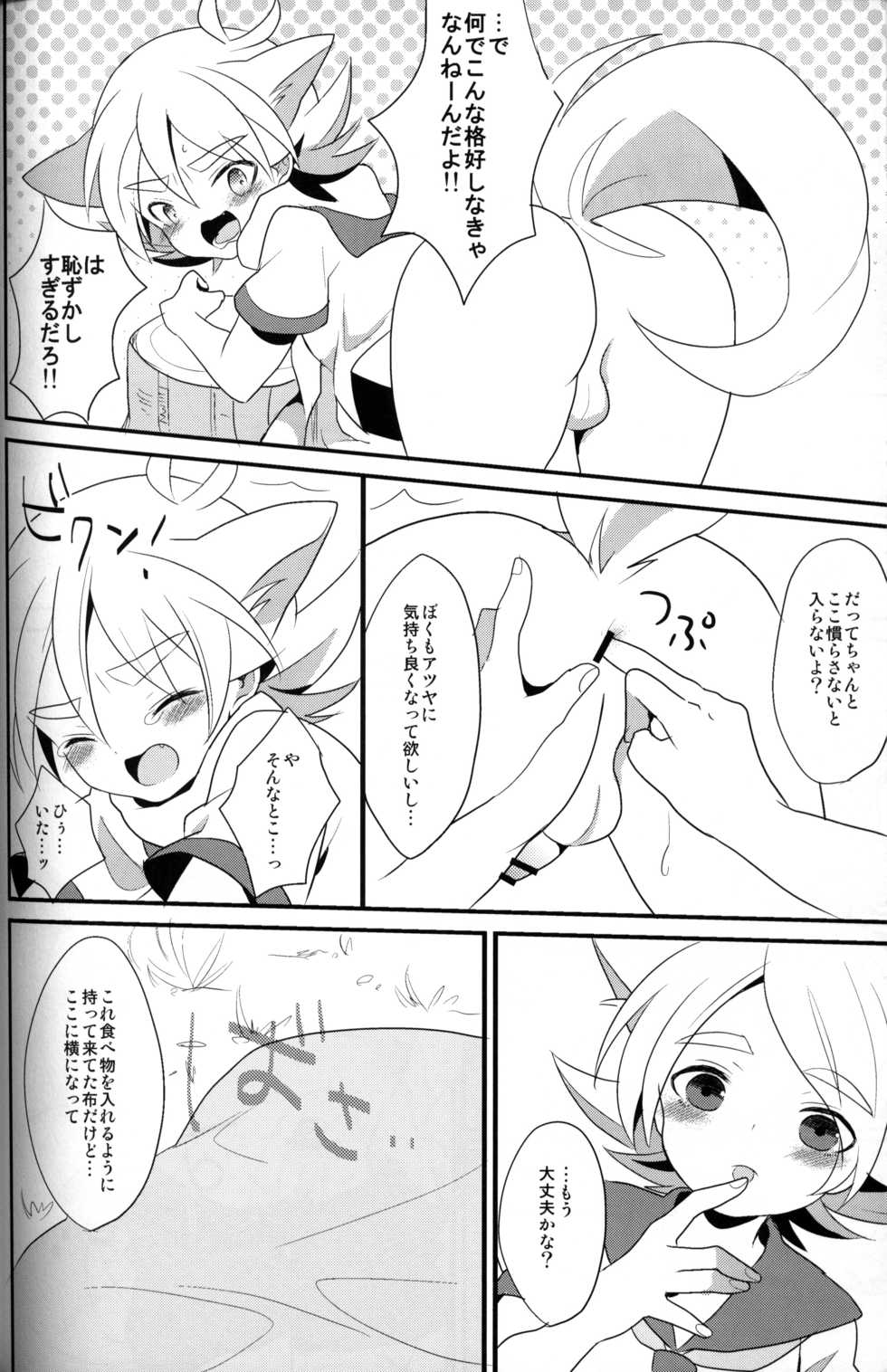 (Seishun Cup 5)[Kanai (Blanc)] unripe fruits (Inazuma Eleven) - Page 13