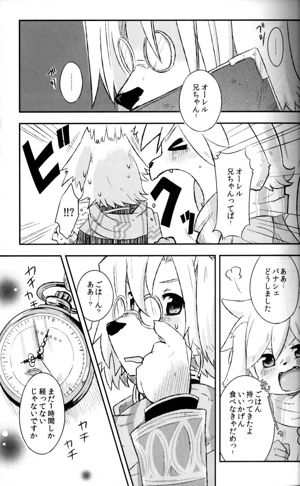 (C80) [38 (Toraneko)] InFinity. (Summon Night) - Page 6