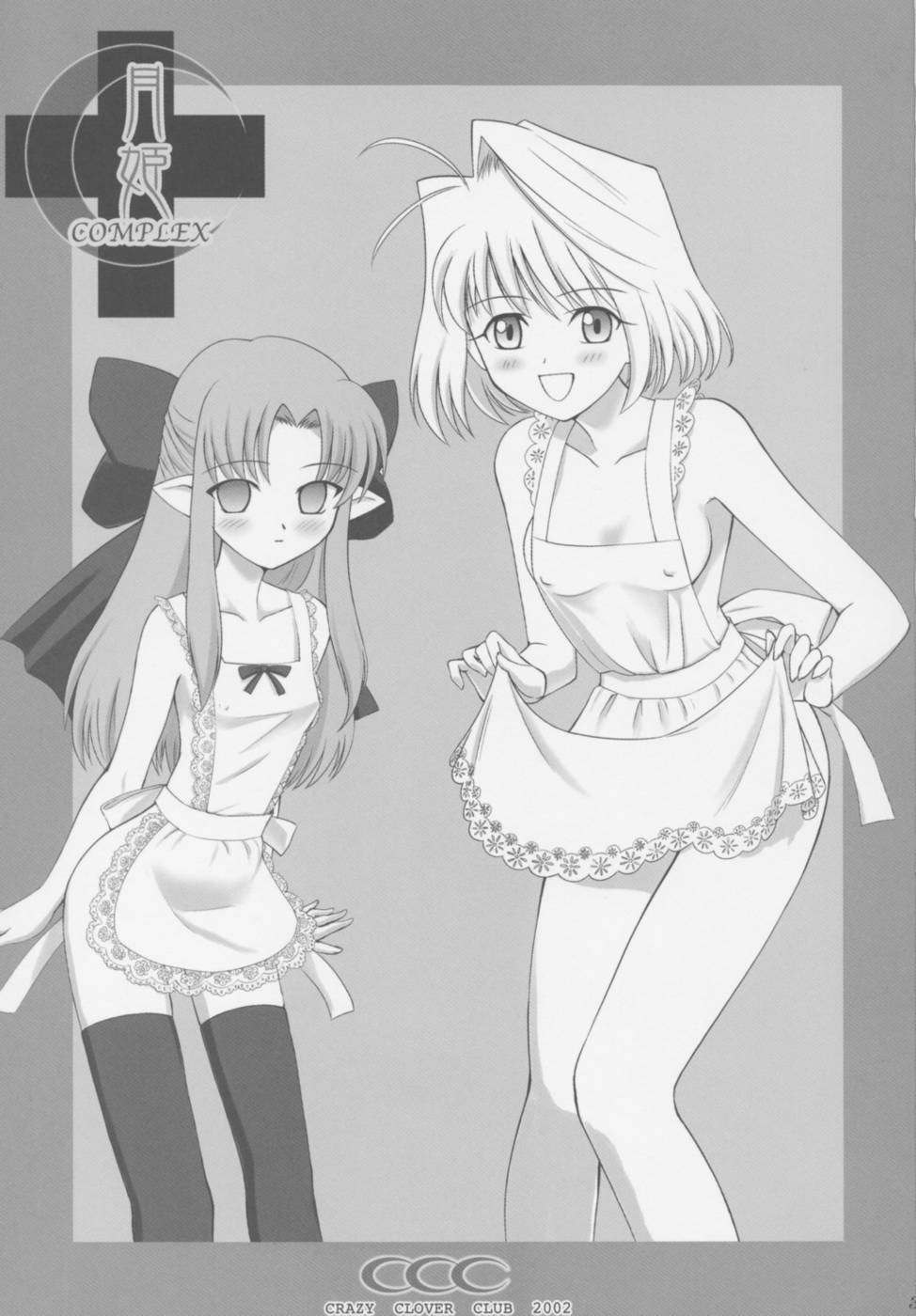 (C63) [Crazy Clover Club (Shirotsumekusa)] Tsukihime COMPLEX (Tsukihime) [English] - Page 2