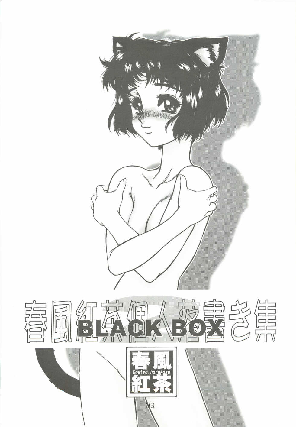 (C63) [Dennou Denpa Hatsureisho (Harukaze Koucha)] BLACK BOX Akugyou Zanmai Ni (Various) - Page 2