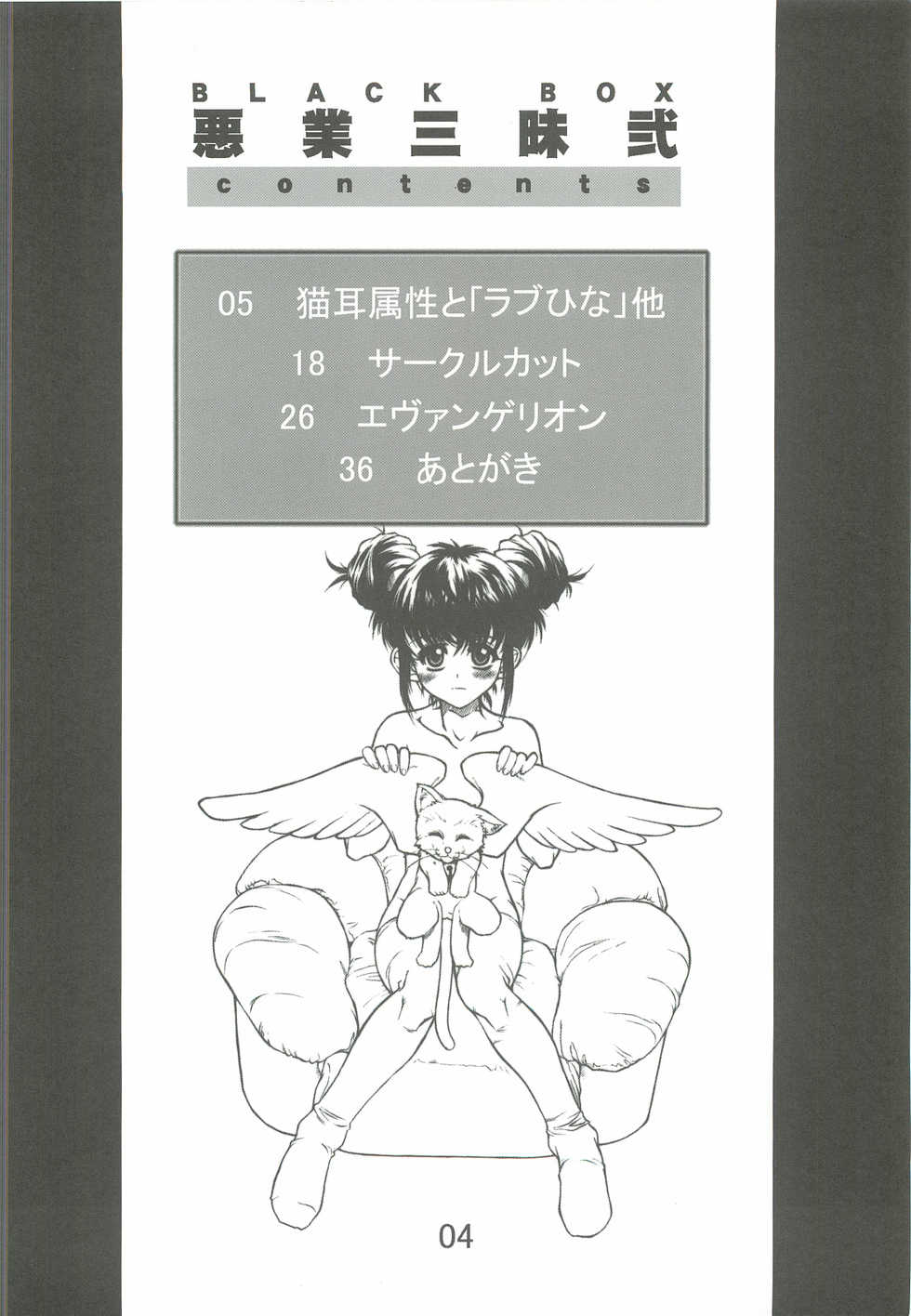 (C63) [Dennou Denpa Hatsureisho (Harukaze Koucha)] BLACK BOX Akugyou Zanmai Ni (Various) - Page 3