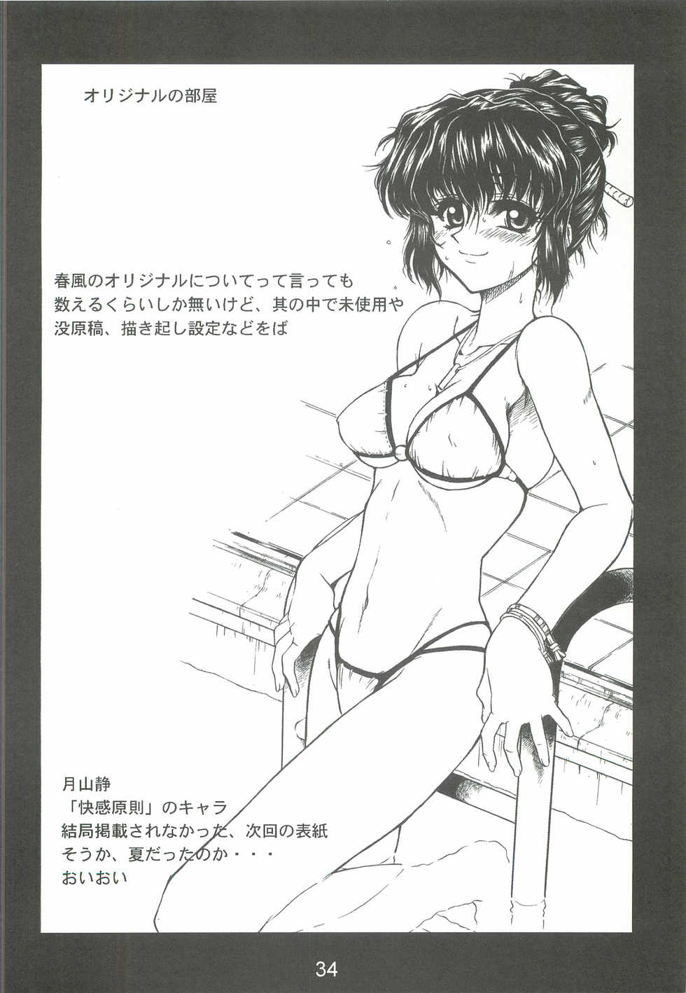 (C63) [Dennou Denpa Hatsureisho (Harukaze Koucha)] BLACK BOX Akugyou Zanmai Ni (Various) - Page 33