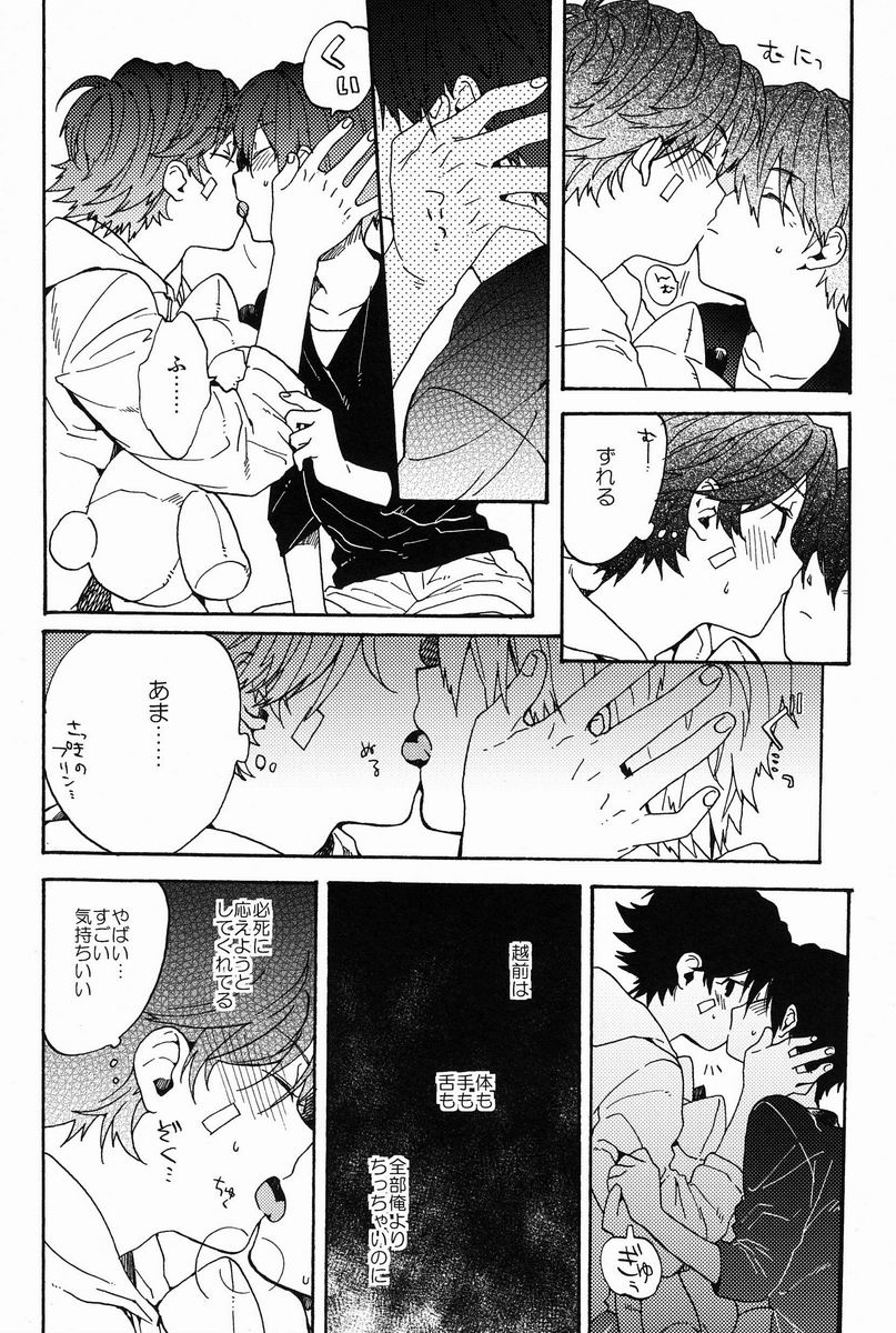 (SPARK7) [camellia (Ksuga)] Stroboscope (Prince of Tennis) - Page 11