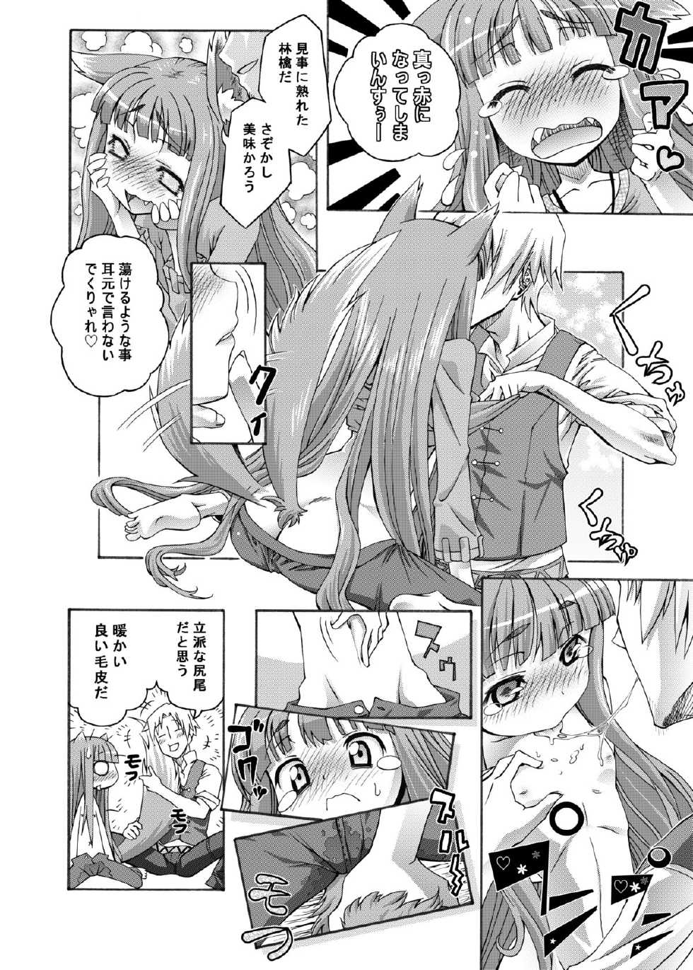 (C74) [Otsukimi Manbou (Tsukino Kitsune, Yokaze)] Ookami to Towa ni (Spice and Wolf) [Digital] - Page 19
