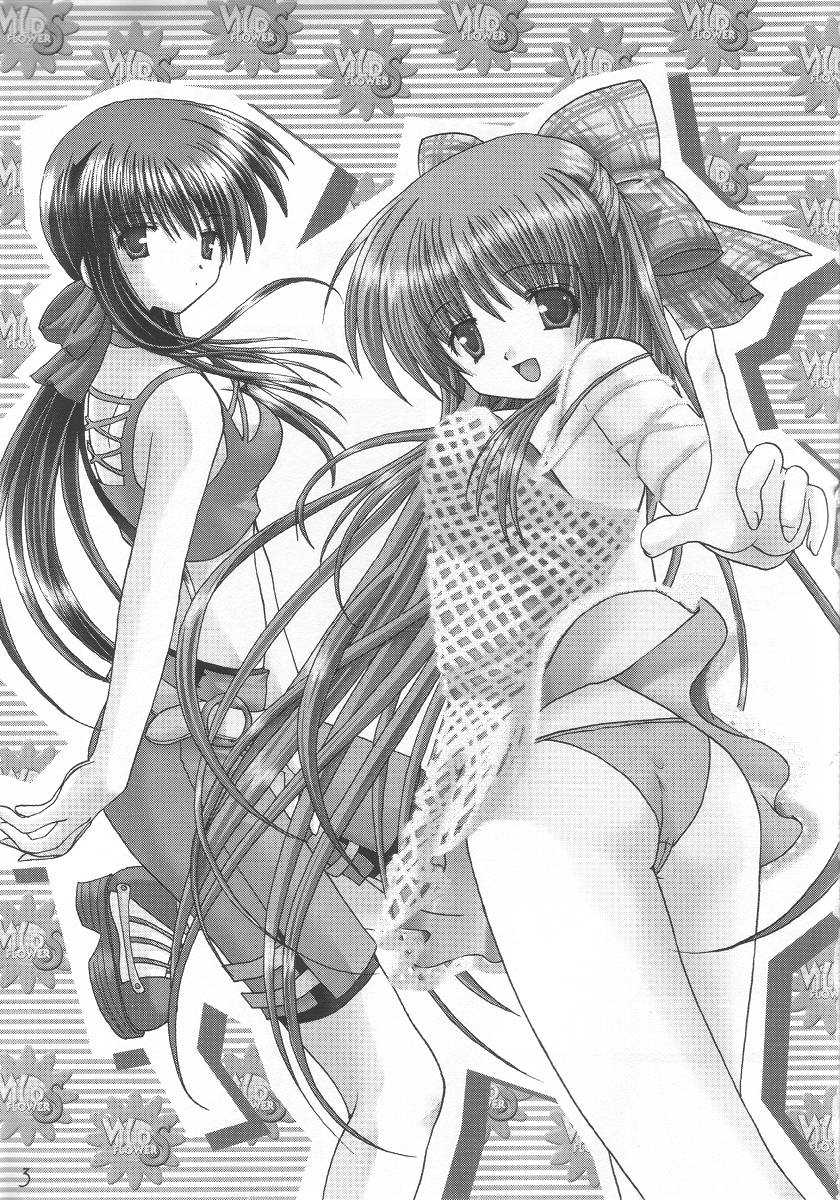 (CR29) [VENOM, ElectromagneticWave (various)] WILD FLOWERS (Kanon) - Page 2