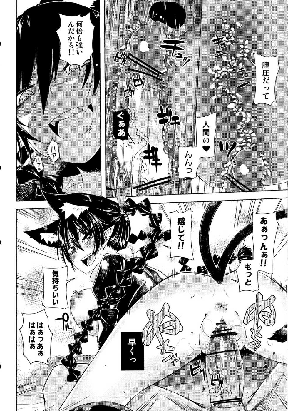 (C83) [Sakurai Dai Energy (Sakurai Energy)] Neko Jarashi - Green Cattail (Touhou Project) - Page 13