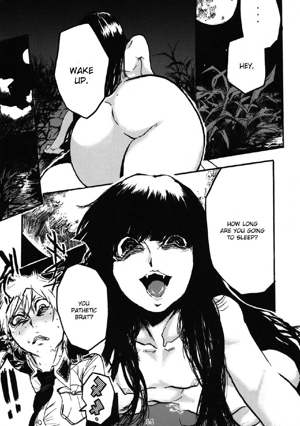 (C77) [Nagaredamaya (Bang-You)] H COMPLEX (Hellsing) [English] - Page 14