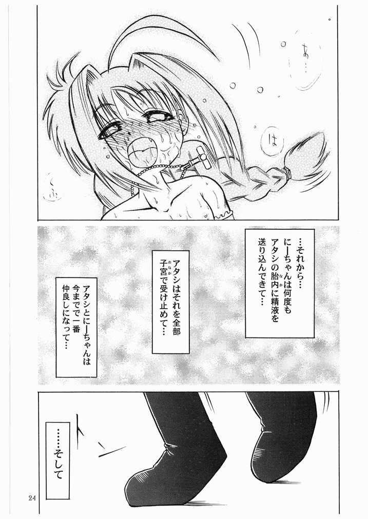 (Lyrical Magical 3) [Akachi (Chikigai)] LOVITA (Mahou Shoujo Lyrical Nanoha) - Page 24