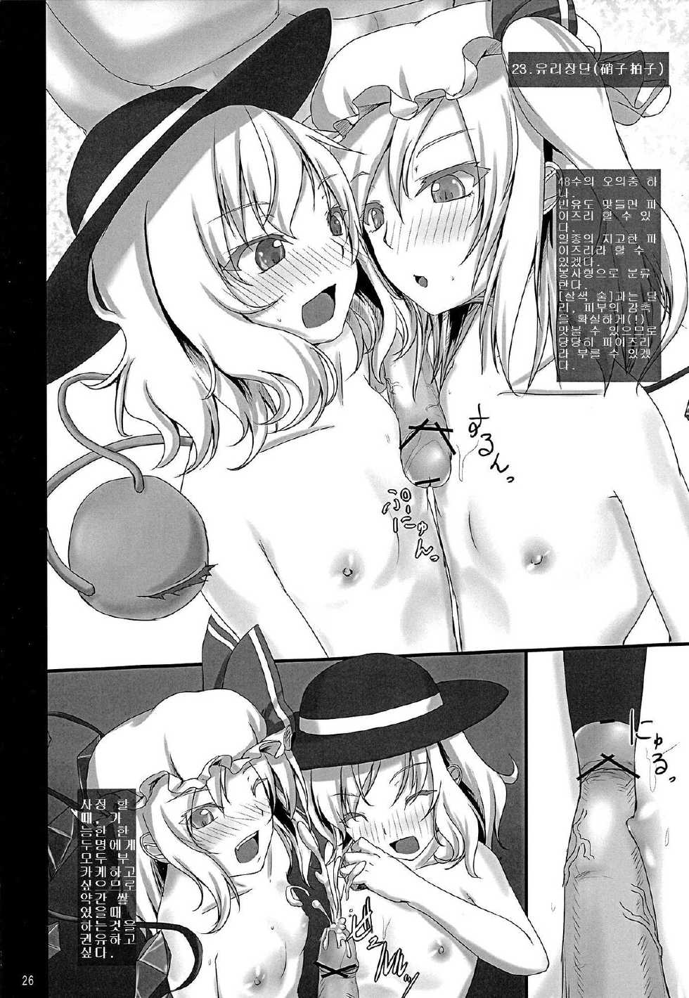 (C79) [Miwaku-iro Missile (Otogi)] Touhou Paizuri Shijuuhatte Jou (Touhou Project) (korean) - Page 24