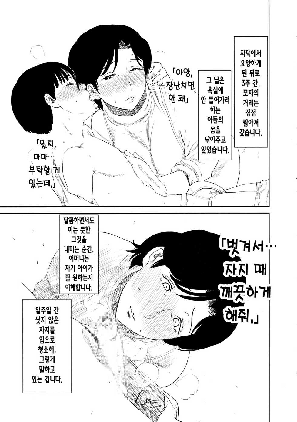 (C79) [Miyabi Tsuzuru Bu (Miyabi Tsuzuru)] Otoko ni Umarete Hahaoya to SEX shinai nante Jinsei Hanbun Sonshiteru. (colorful, Ookiku Furikabutte) (korean) - Page 16