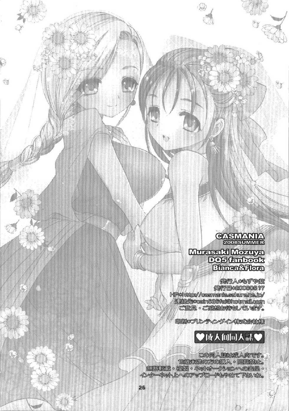 (C74) [CASMANIA (Mozuya Murasaki)] Kekkon Shoya | La Boda Feliz (Dragon Quest V) [Spanish] [La Bibilioteca de Saizoh] - Page 26