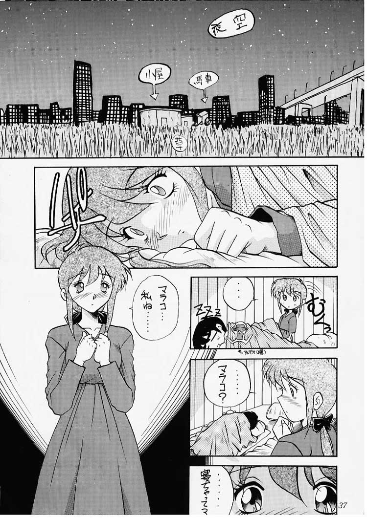 (C50) [Akahira Kirin (Akahira Kirin)] Ese (Neon Genesis Evangelion, 3000 Leagues in Search of Mother, Viper V10) - Page 36