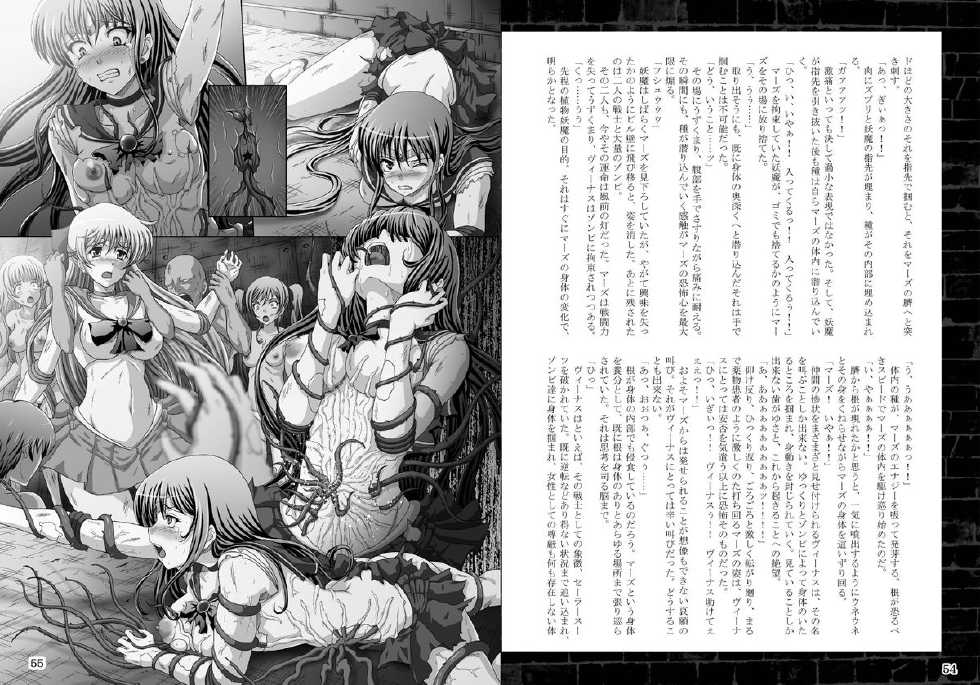 [Daraku Jiko Chousa Iinkai (Sch-mit)] Kasei Daraku Keikaku (Bishoujo Senshi Sailor Moon) [Digital] - Page 28