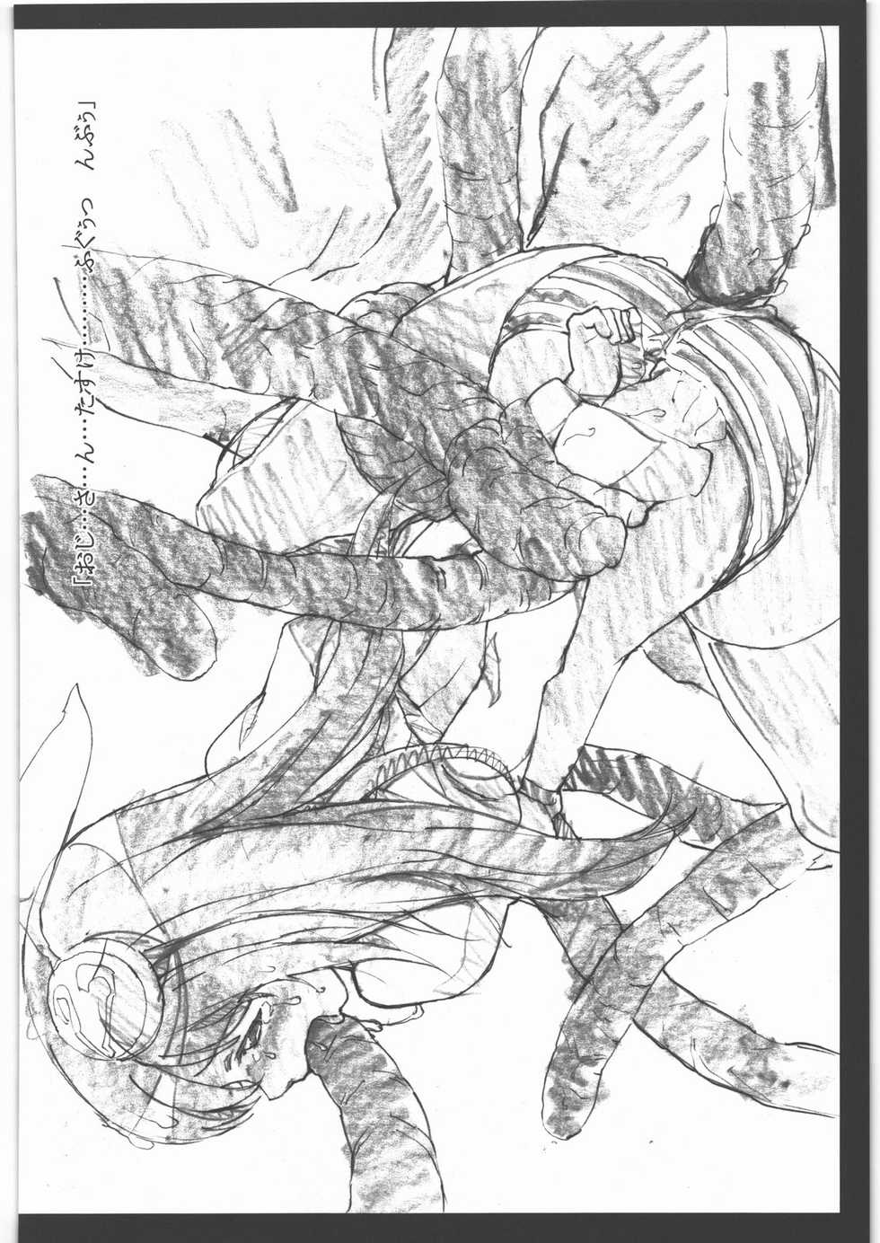 (C80) [PHYSALIS (Seresu)] Physalis no Usui Hon (Mahou Shoujo Lyrical Nanoha) - Page 19