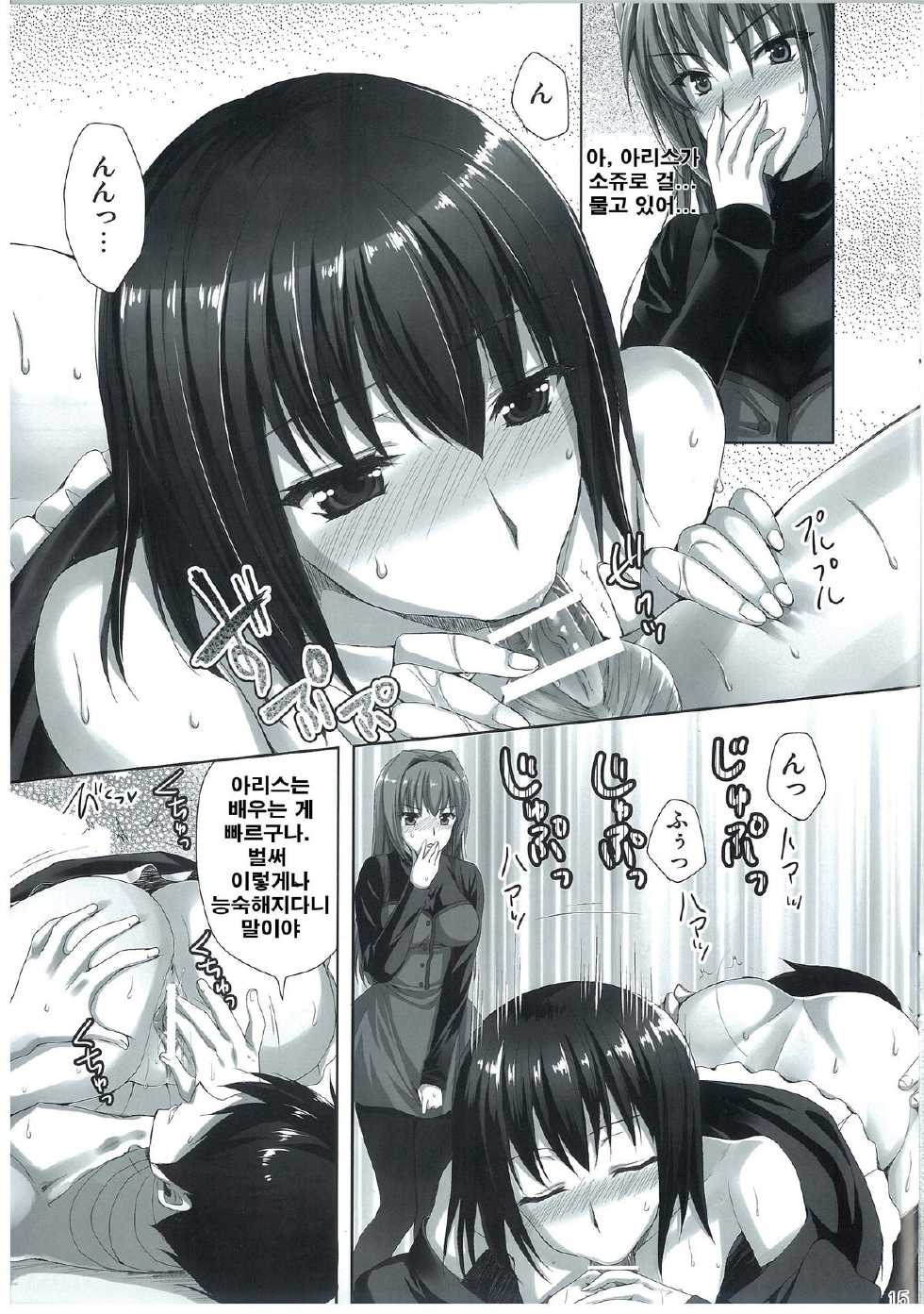 (C83) [Aigamodou (Ayakawa Riku)] Mahou Tsukai no Yotogi 2 (Mahou Tsukai no Yoru) [Korean] [Team 아키바] - Page 15