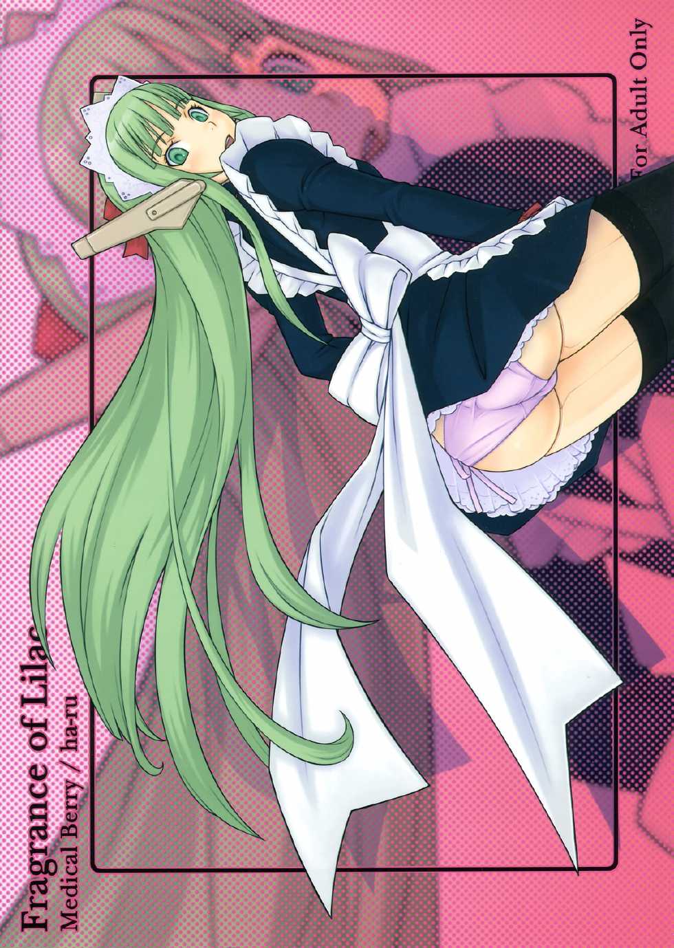 (C70) [Medical Berry (ha-ru)] Fragrance of Lilac (Mahou Sensei Negima!) - Page 24