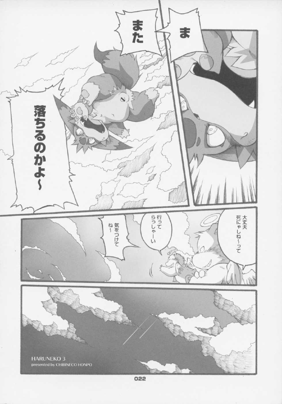 (C83) [Chibineco Honpo (Chibineco Master)] Haruneko 3 - Page 21