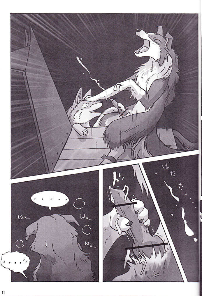 (Fur-st 3) [KTQ48 (Various)] KTQ 15 (Various) - Page 13