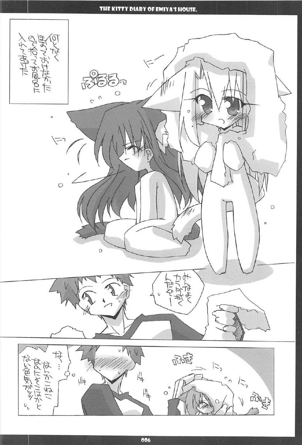 (C67) [THIRD BRAND (Katsumata Kazuki)] Emiyake Koneko nikki (Fate stay night) - Page 6