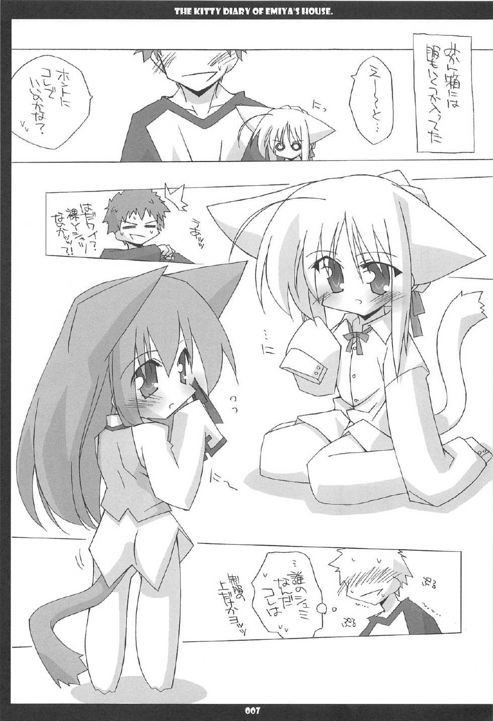 (C67) [THIRD BRAND (Katsumata Kazuki)] Emiyake Koneko nikki (Fate stay night) - Page 7