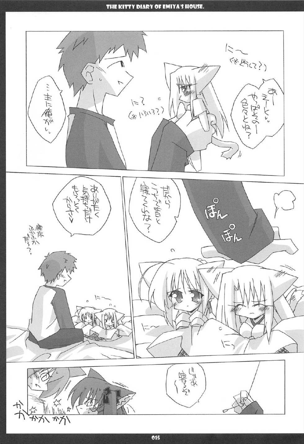 (C67) [THIRD BRAND (Katsumata Kazuki)] Emiyake Koneko nikki (Fate stay night) - Page 15