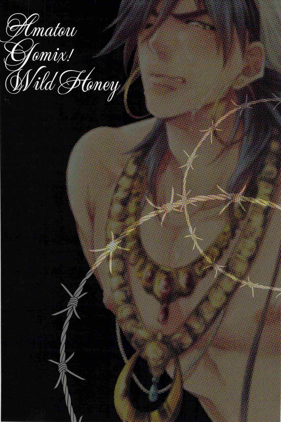 [GOMIX! 甘党 (Wild Haney)] Secret Kingdom - Page 2