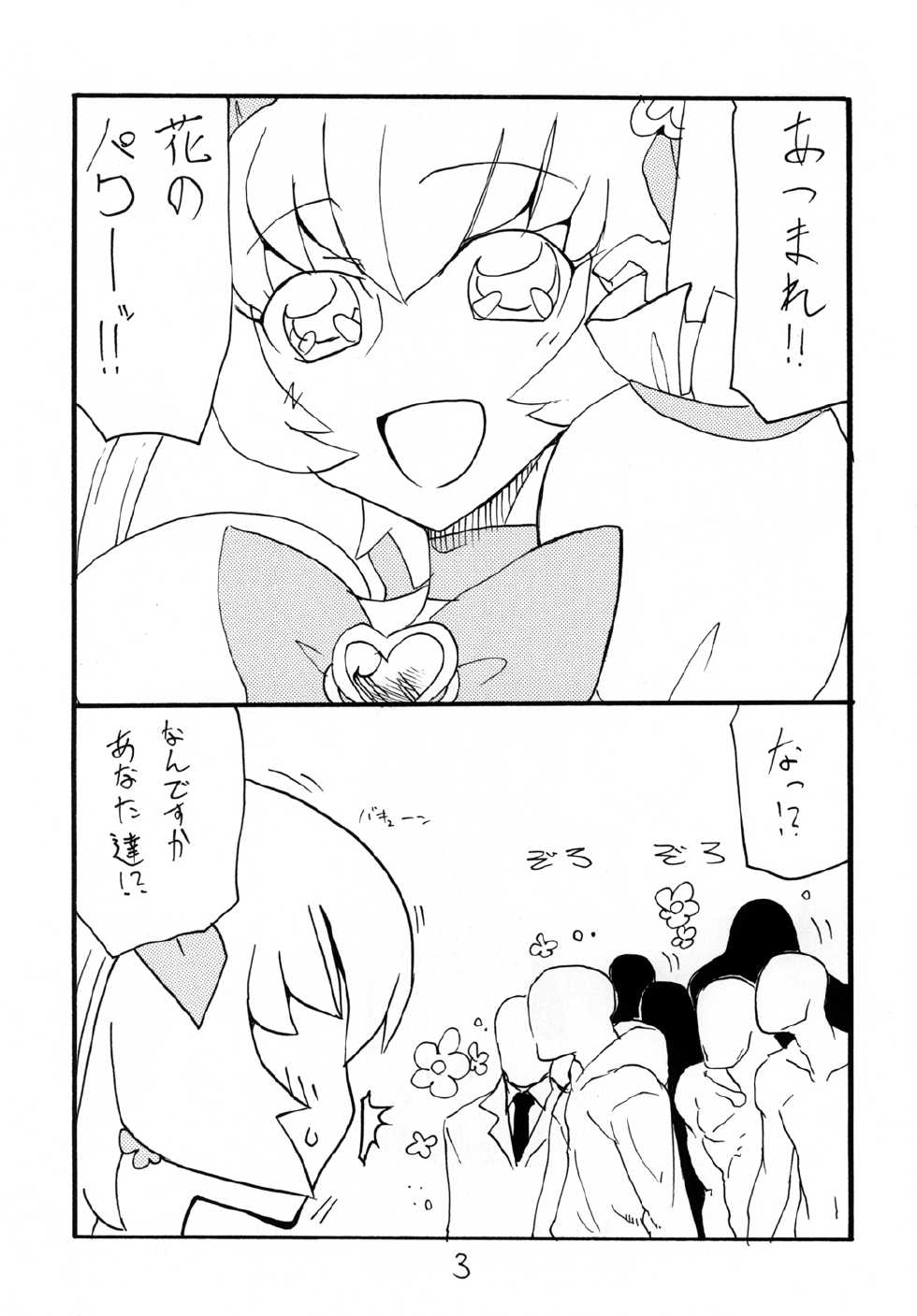 [King Revolver (Kikuta Kouji)] Dopyutto Atsumare Hana no Power (HeartCatch Precure!) [Digital] - Page 3