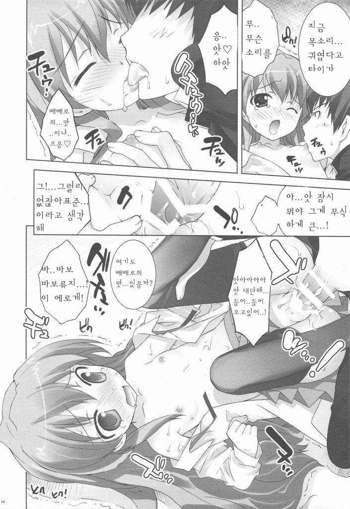 (COMIC1☆3) [ESSENTIA & Yan-Yam (Fujima Takuya, Yan-Yam)] Tora-Chee! (Toradora!) (korean) - Page 17