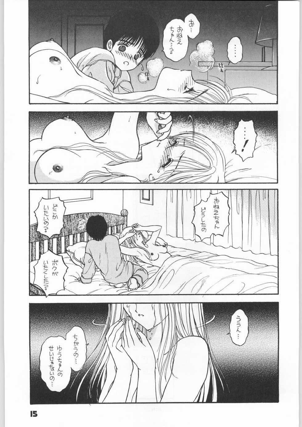 (C48) [UROBOROS (various)] Hitokage Salamander (various) - Page 12