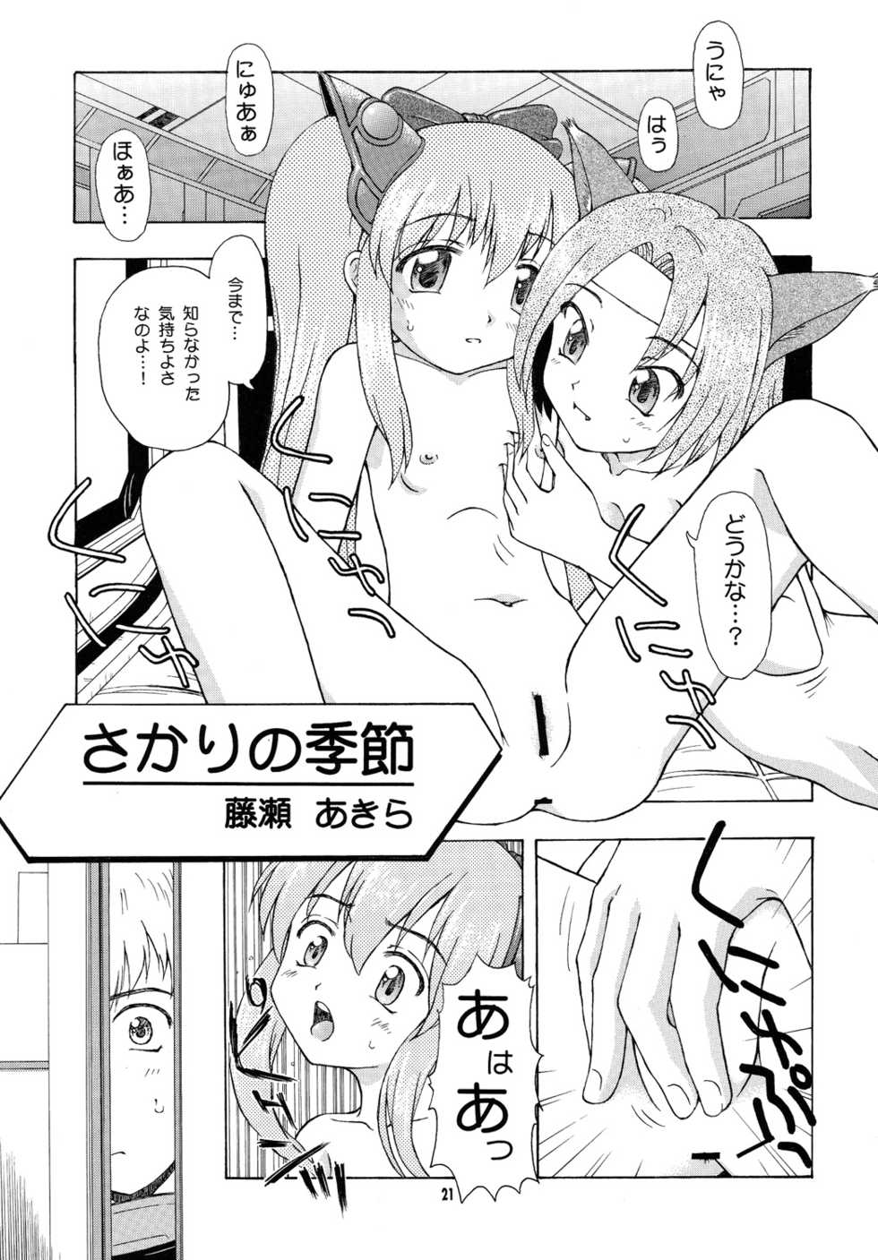 (C77) [ZNN (Fujise Akira, Zinan)] Calnus (Hi) Nisshi (Star Ocean 4) [Digital] - Page 19