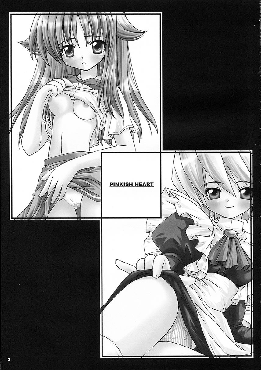 (C63) [MiyuMiyu Project (Kanna Satsuki)] PINKISH HEART (Suigetsu) - Page 2