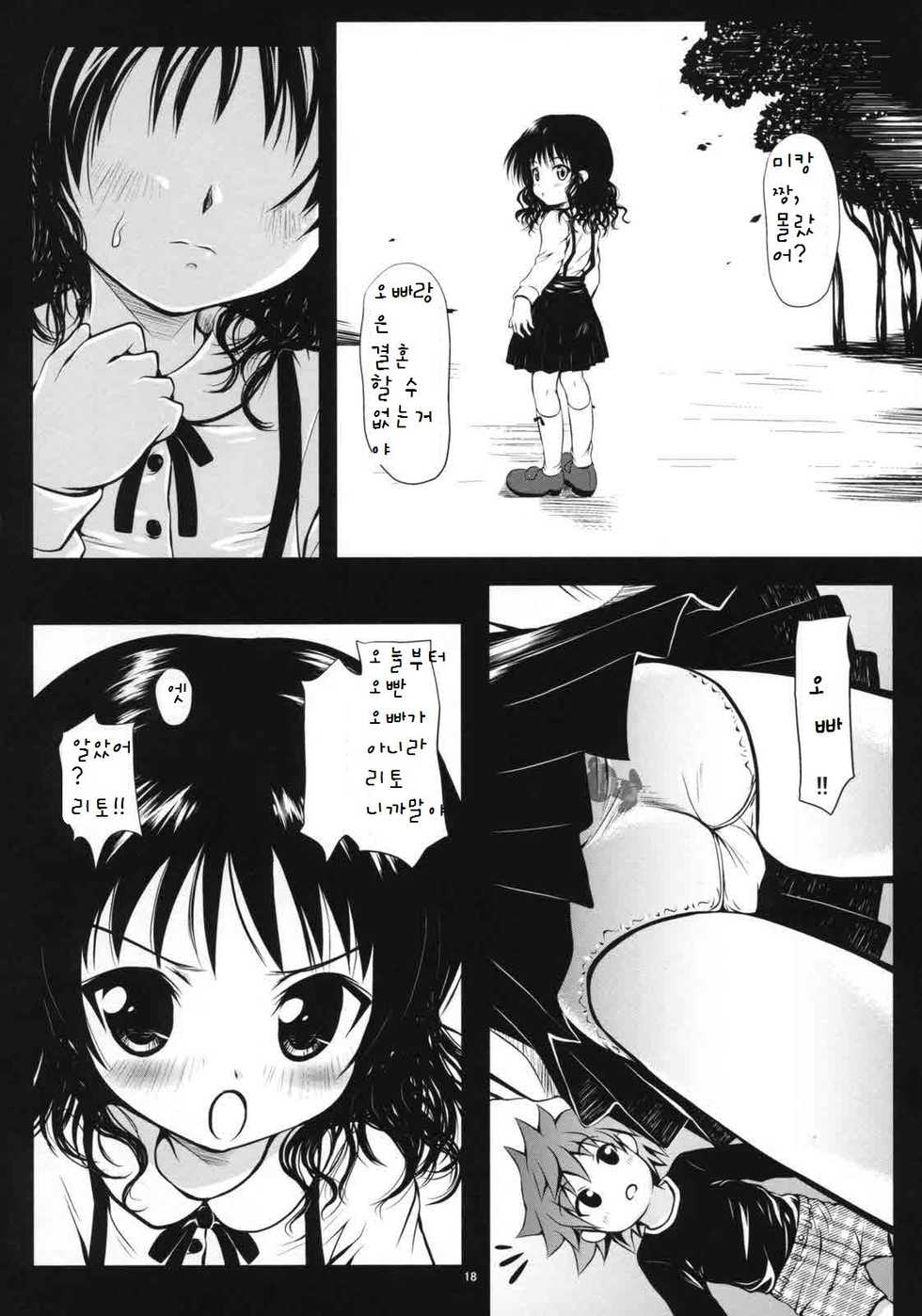 (SC41) [Shiawase Kanmiryou (Yuki Tomoshi)] R Mikan 2 (To LOVE-Ru) [Korean] - Page 17