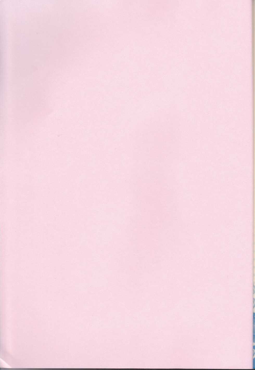 (SUPER19) [YUIMARI Z! (Aizawa Yuito)] Lovely Fighter (Sengoku Basara) - Page 2