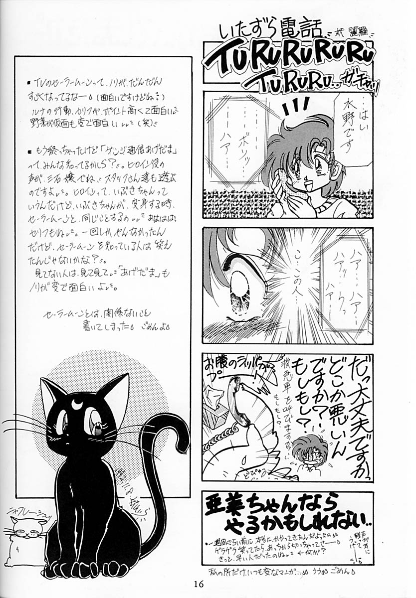 (C43) [LIVELY BOYS (various)] Princess Moon (Bishoujo Senshi Sailor Moon) - Page 17