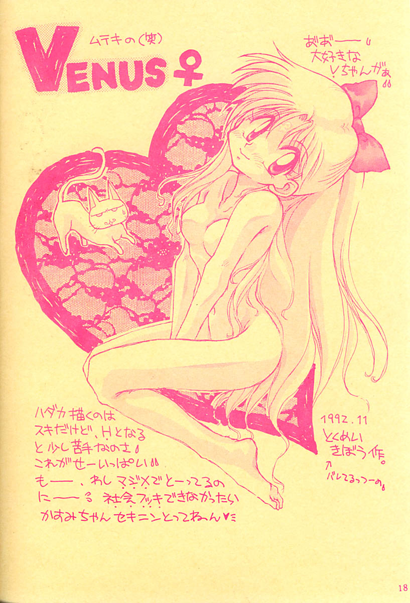 (C43) [LIVELY BOYS (various)] Princess Moon (Bishoujo Senshi Sailor Moon) - Page 19