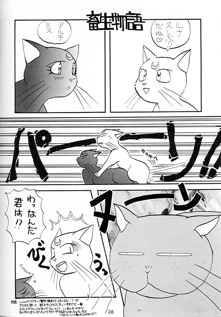 (C43) [LIVELY BOYS (various)] Princess Moon (Bishoujo Senshi Sailor Moon) - Page 27