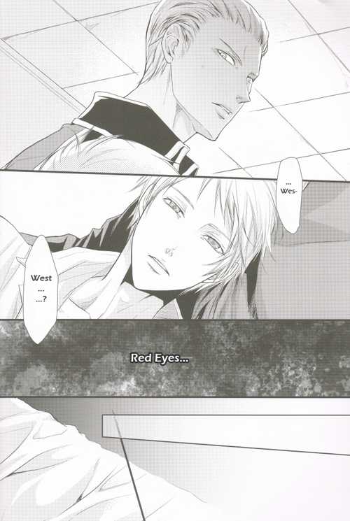 (Sekai Kaigi 2) [FIZZCODE (Satoh Nishiki)] AnotherDark (Axis Powers Hetalia) [English] - Page 7